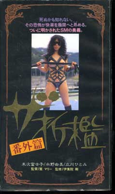 日活・FAプロ・新東宝 中古DVD|中古ビデオ